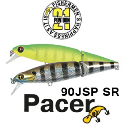 Pontoon21 Pacer 90JSP SR 