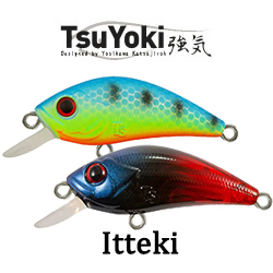 TsuYoki Itteki