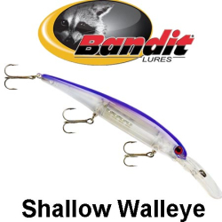 Bandit Shallow Walleye