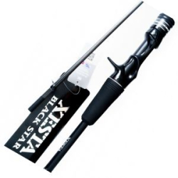 Удилище кастинговое Xesta Black Star 2025 B66M-T Urban Squad