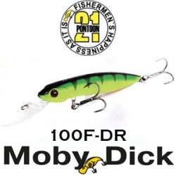 Pontoon21 Moby Dick 100F-DR 