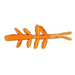 Мягкая приманка Wonder Trout Bait Alien 5,5 см цв. 009