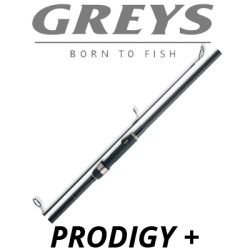 Greys Prodigy +