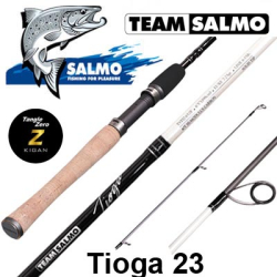 Team Salmo Tioga 23