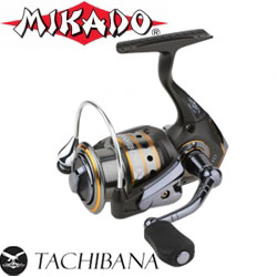 Mikado Tachibana FD