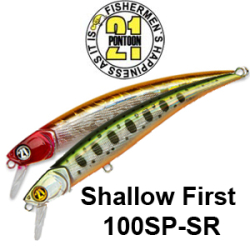 Pontoon21 Shallow First 100SP-SR 