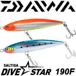 Daiwa Saltiga Dive Star 190F