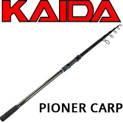 Kaida Pioner Carp