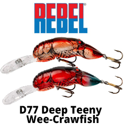 Rebel D77 Deep Teeny Wee-Crawfish