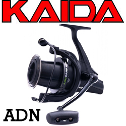 Kaida ADN-Carp