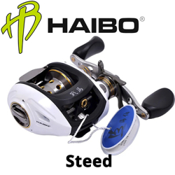 Haibo Steed