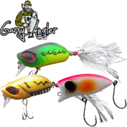 Garry Angler