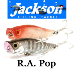 Jackson R.A. Pop