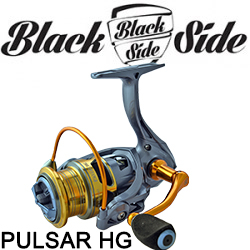 Black Side Pulsar HG FD