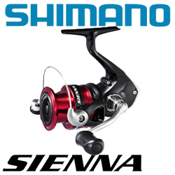 Shimano Sienna