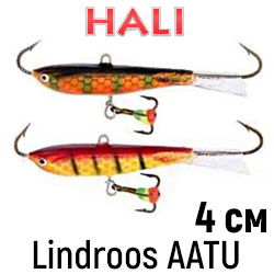 Hali Lindroos AATU 40