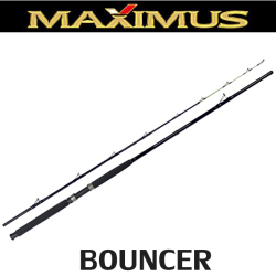 Maximus Bouncer