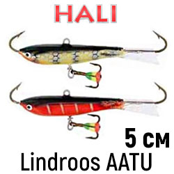 Hali Lindroos AATU 50