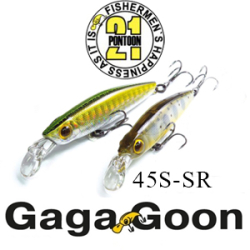 Pontoon21 GagaGoon 45S-SR 