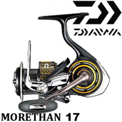 Daiwa Morethan 17