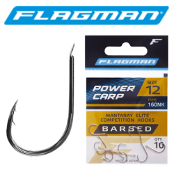 Flagman Power Carp