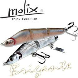 Molix Brigante