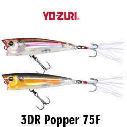 Yo-Zuri 3DR Popper 75 (F) R1305