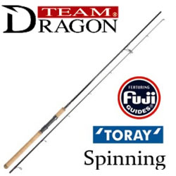 Team Dragon Spinning