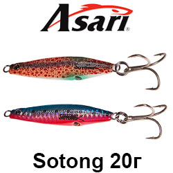 Asari Sotong 20гр