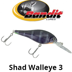 Bandit Shad Walleye 3