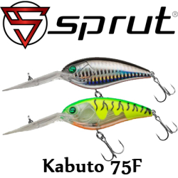 Sprut Kabuto 75F