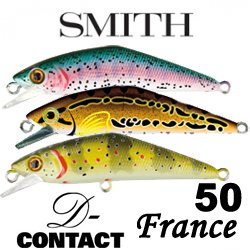 Smith D-Contact France 50