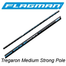 Flagman Tregaron Medium Strong Pole