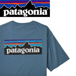 Patagonia M's P-6 Logo Organic T-Shirt PGBE