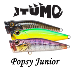 Itumo Popsy Junior