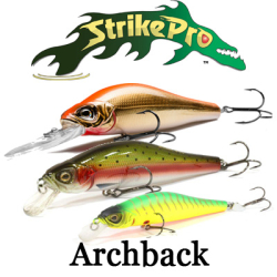 Strike Pro Archback