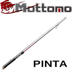 Mottomo Pinta