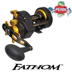 Penn Fathom 15 Star Drag