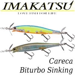 Imakatsu Careca Biturbo Sinking