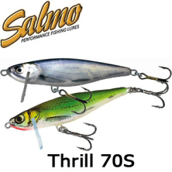 Salmo Thrill 70S