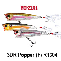 Yo-Zuri 3DR Popper (F) R1304