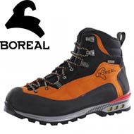 Boreal Brenta