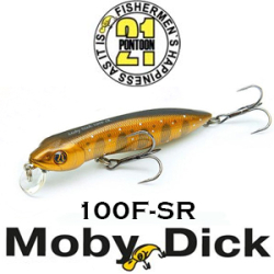 Pontoon21 Moby Dick 100F-SR 