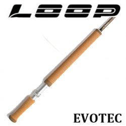 Loop Evotec