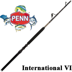 Penn International VI