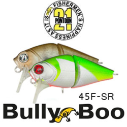 Pontoon21 BullyBoo 45F-SR 