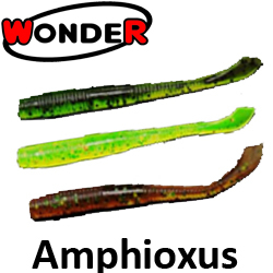 Wonder Trout Bait Amphioxus