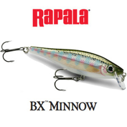 Rapala BX Minnow BXM10