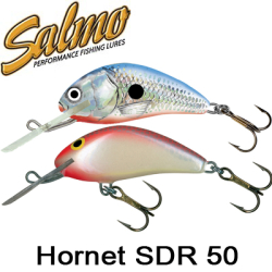 Salmo Hornet SDR 50