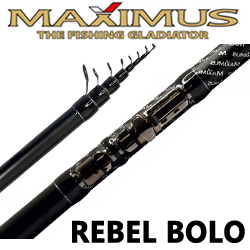 Maximus Rebel Bolognese